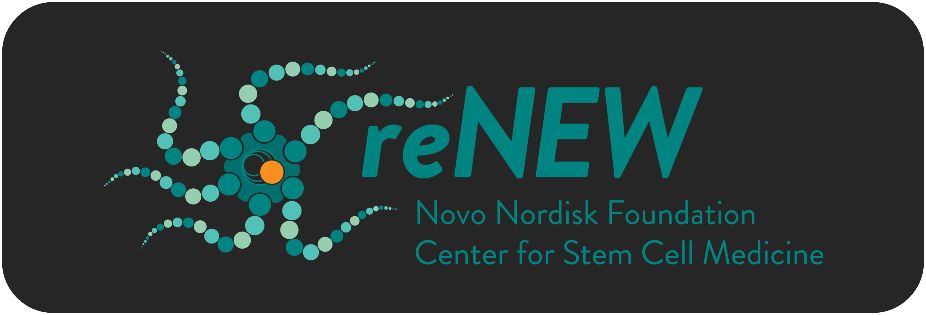 reNEW Logo